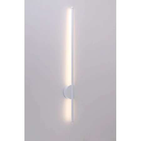 FJ8001/800mm WT (1/10) Настенный светильник (RL) 
