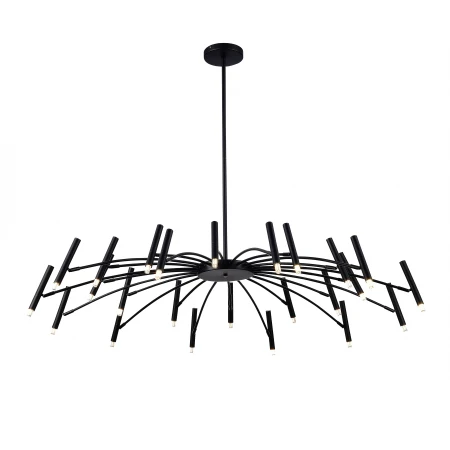 D2122-DW-24 BLACK (1) Люстра NW 