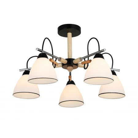 26011/5 CHROME+BLACK (1) Люстра RL 