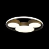 Потолочный светодиодный светильник Loft IT Mike 10168