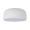 Потолочный светодиодный светильник Loft IT Axel 10201/350 White Потолочный светодиодный светильник Loft IT Axel 10201/350 White