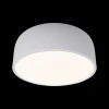 Потолочный светодиодный светильник Loft IT Axel 10201/350 White Потолочный светодиодный светильник Loft IT Axel 10201/350 White