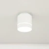 Потолочный светодиодный светильник Citilux Борн CL745020N