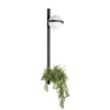 Настенный светильник LOFT IT Jardin 10121W/B Настенный светильник LOFT IT Jardin 10121W/B