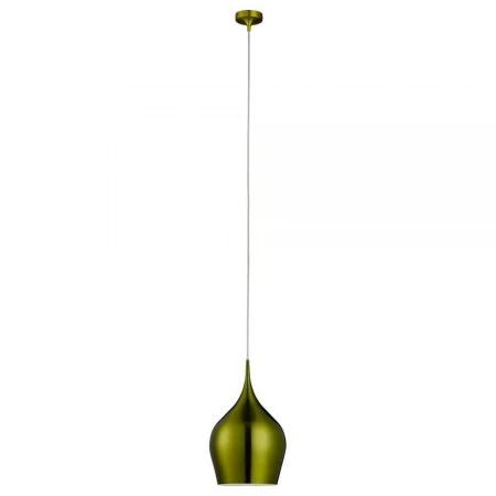 Подвесной светильник Arte Lamp Vibrant A6426SP-1GR