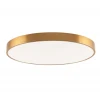 Потолочный светодиодный светильник Zortes Tortty ZRS.02566.96