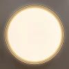 Потолочный светодиодный светильник Citilux Boss CL751451G