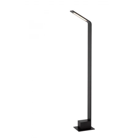 Садово-парковый светильник Lucide LAWFORD  29831/80/30