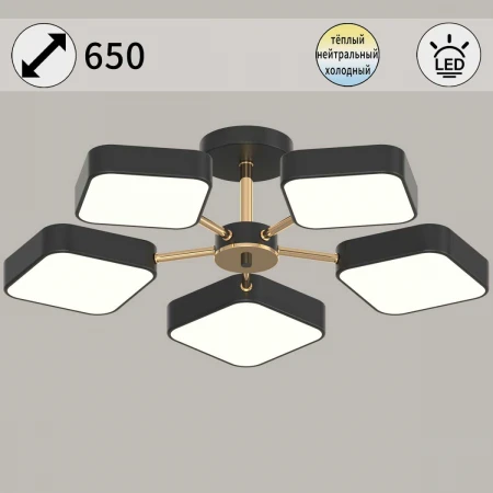 Светильник потолочный Reluce 03360-0.3-05 BK+FGD