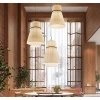 Подвесная люстра Imperium Loft Peo A D50 232560-23