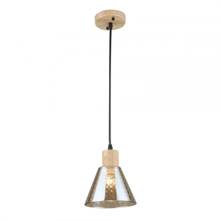 Подвесной светильник Arte Lamp LANCASTER A5891SP-1BK