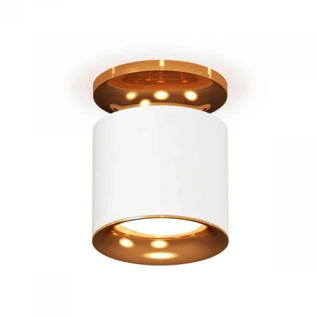 Комплект накладного светильника Ambrella light Techno Spot XS7401122 SWH/PYG белый песок/золото желтое полированное (N7929, C7401, N7014)