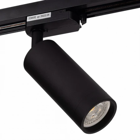 Светильник на штанге DK620 DK6202-BK