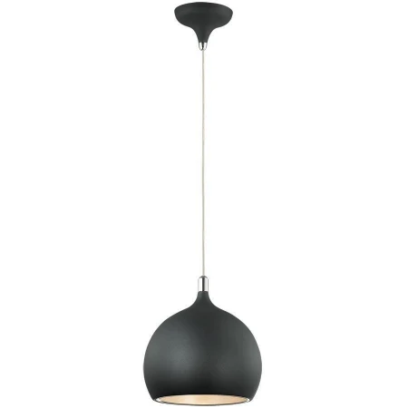 Светильник Odeon Light 2904/1 BULA