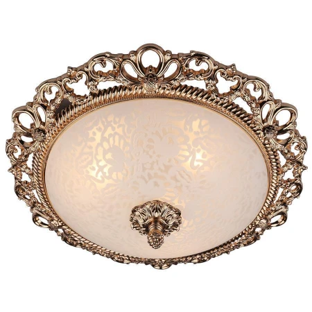 Светильник Omnilux OML-73917-03