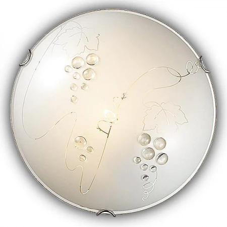 Настенно-потолочный светильник Sonex 104/CL TRAUBE