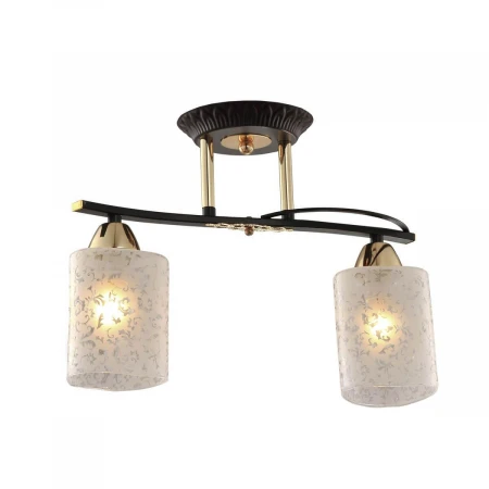 Потолочный светильник Citilux Мотив CL166121