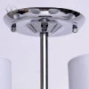 Потолочная люстра MW-Light Федерика 80 379018506