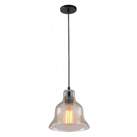 Подвесной светильник Arte Lamp Amiata A4255SP-1AM