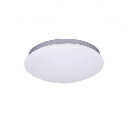 Потолочный светодиодный светильник F-Promo Ledante 2467-2C