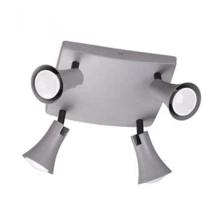 Спот Odeon Light Reanna 3825/4C