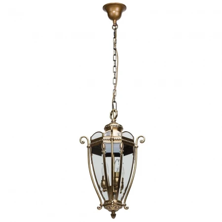 Уличный подвесной светильник Chiaro Мидос 802010703