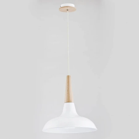 Подвесной светильник Alfa Doro 60005